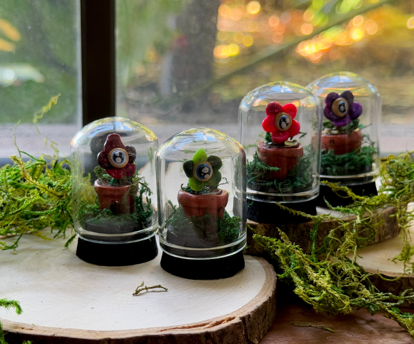 Mini Eyeball Flower Dome