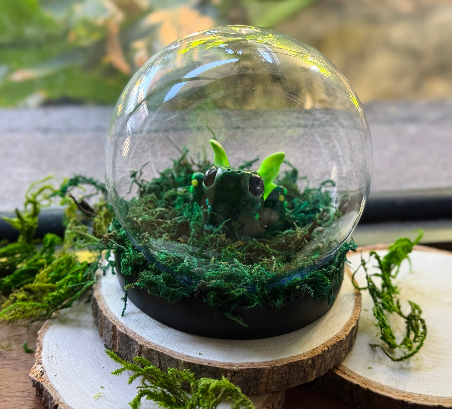 Frog Fairy Dome