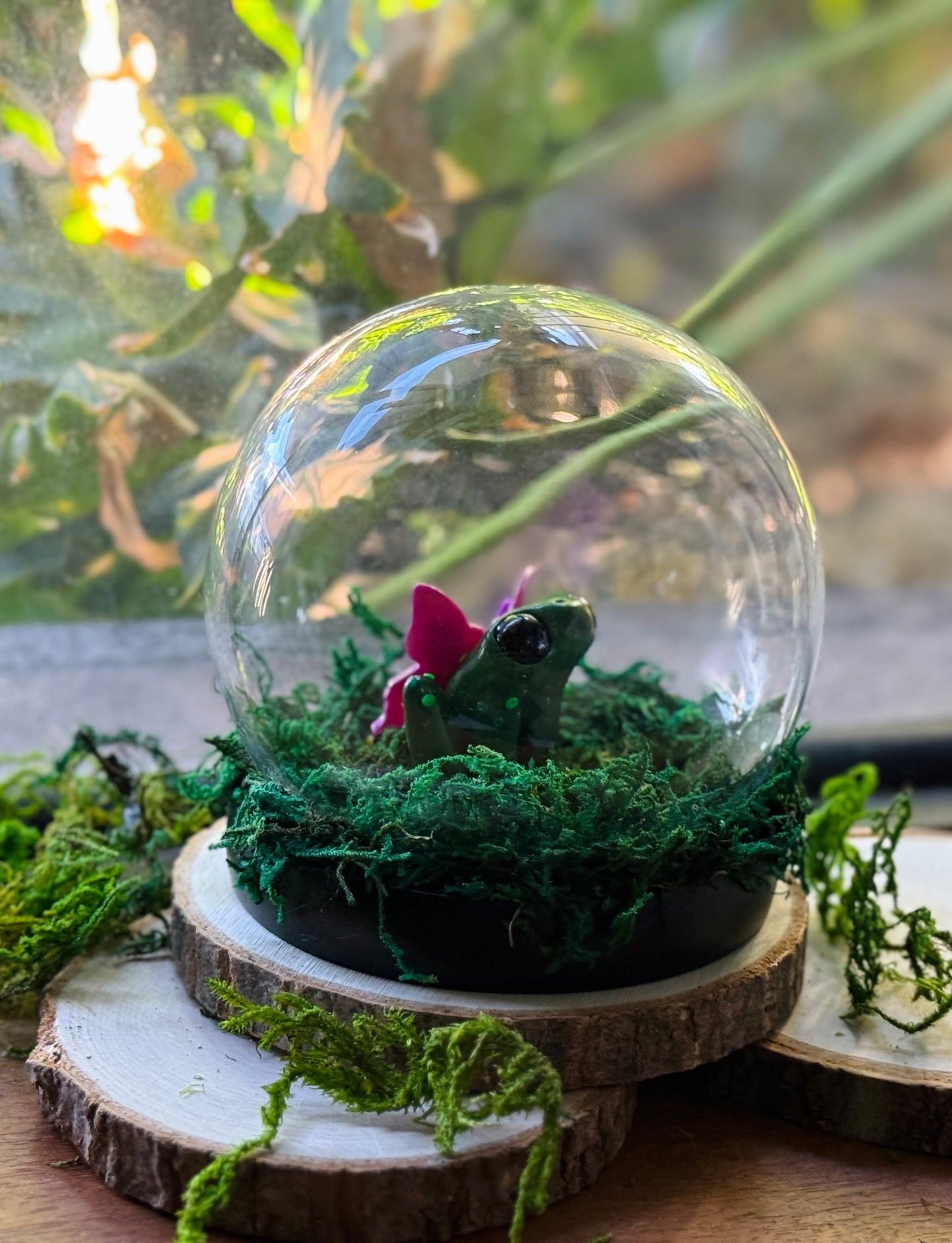 Frog Fairy Dome