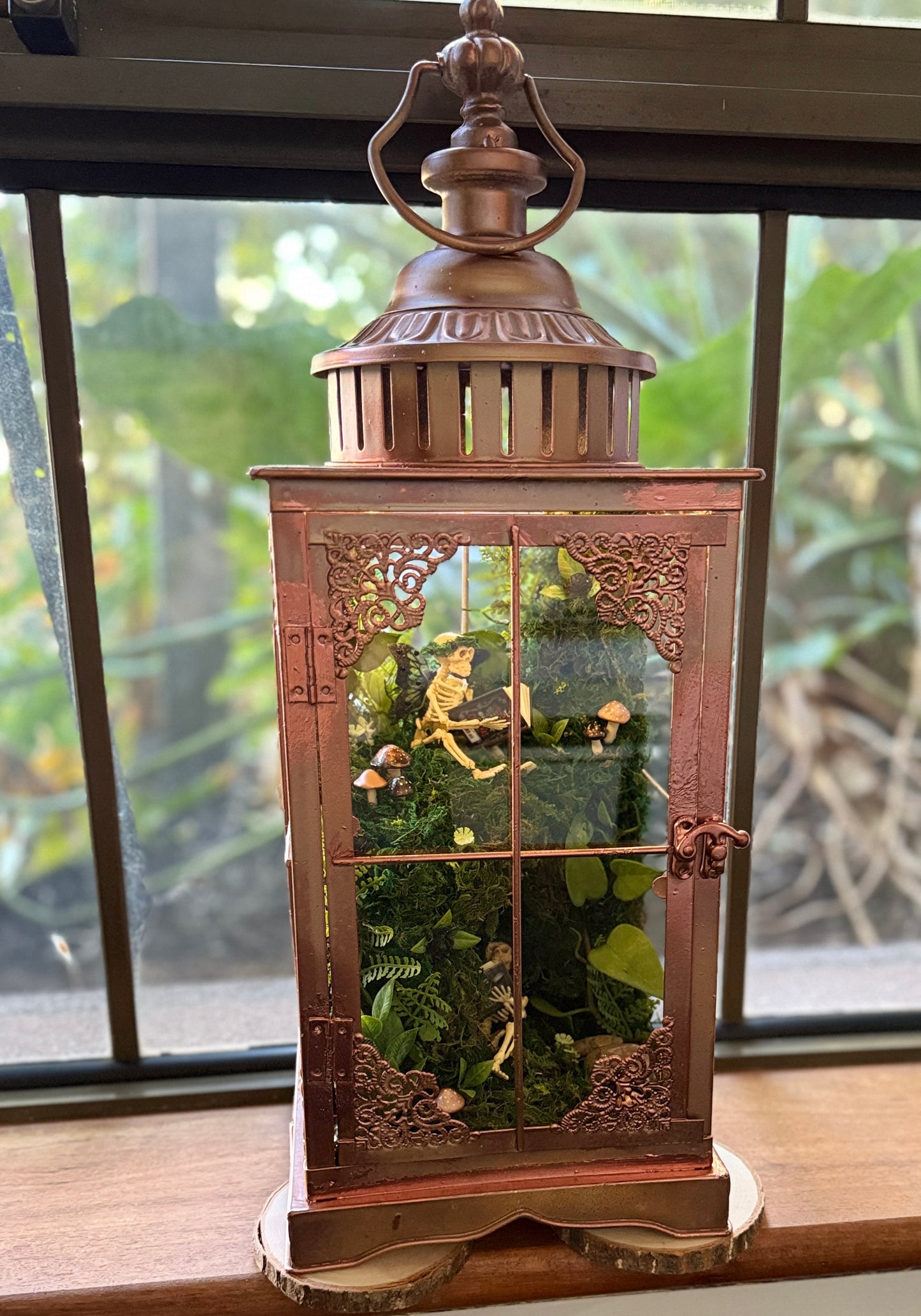 Book Fairies Terrarium