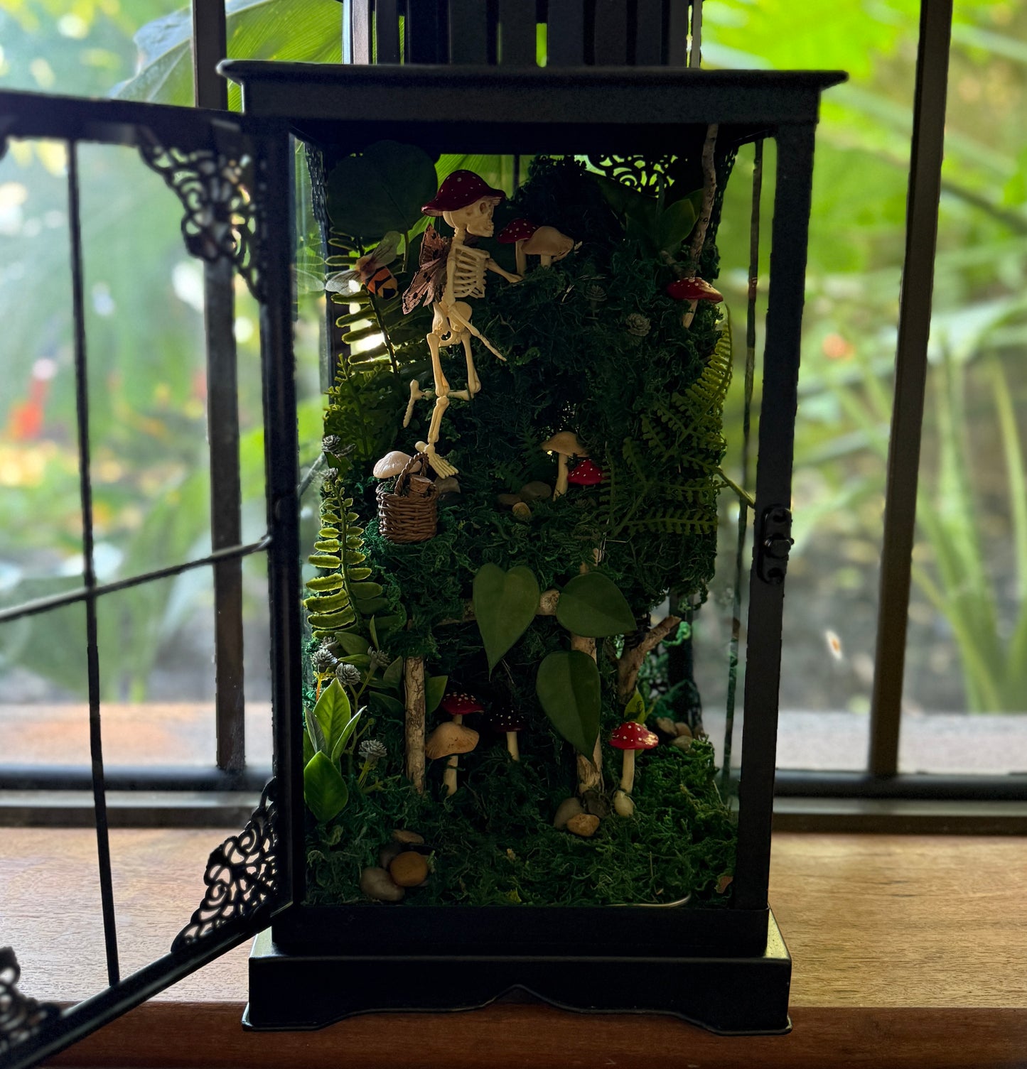 Mushroom Foraging Terrarium