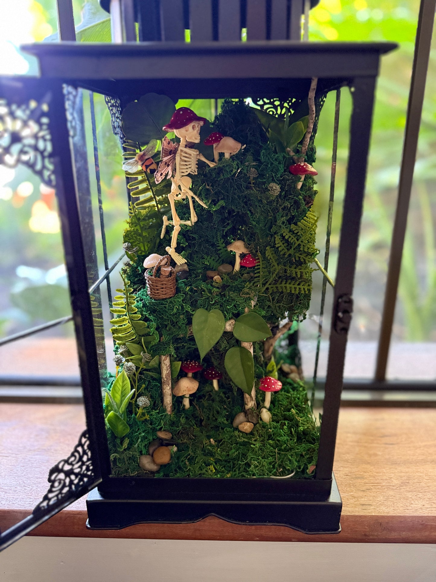 Mushroom Foraging Terrarium