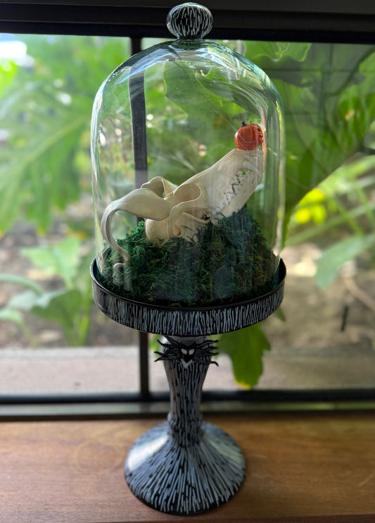 Zero Skull Cloche