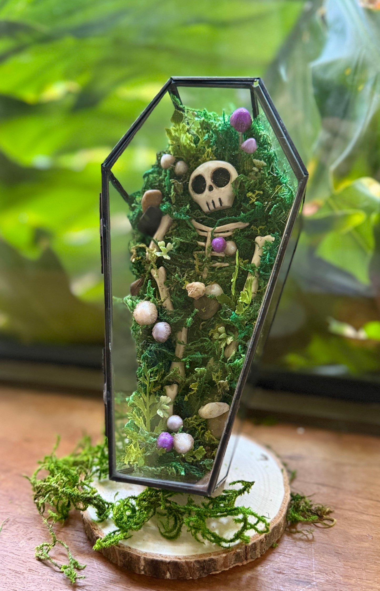 Coffin Terrarium