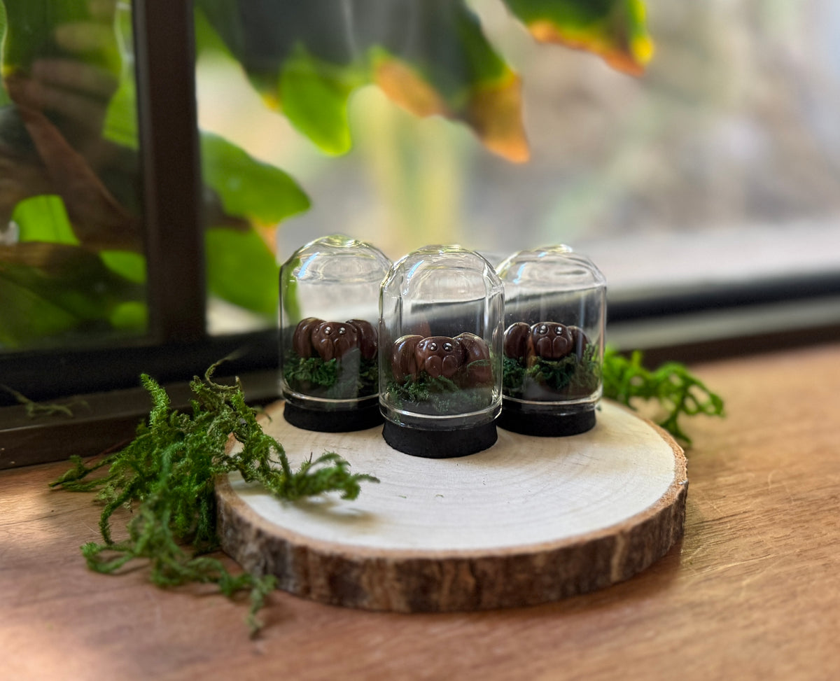 Mini Spider Dome