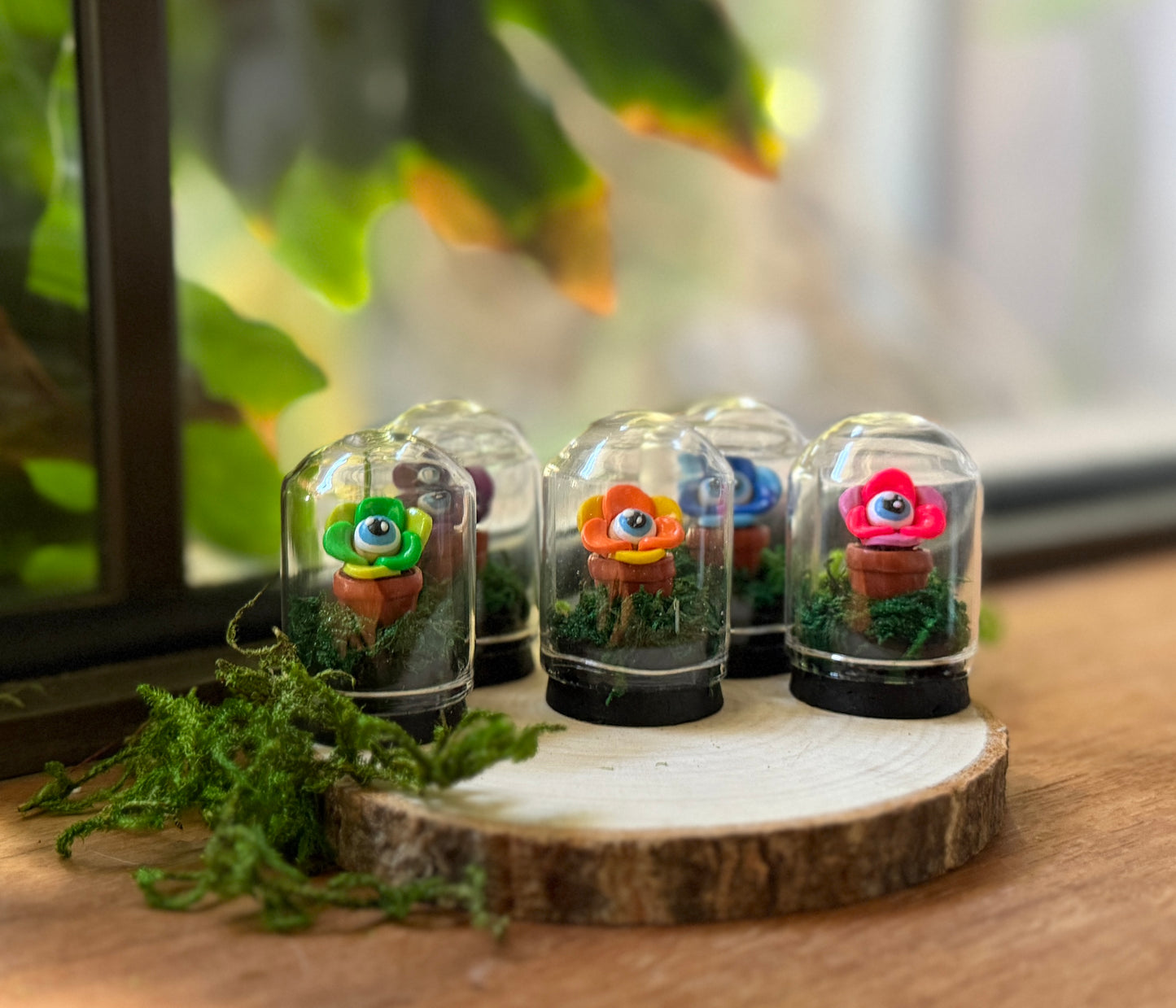Mini Eye Flower Dome