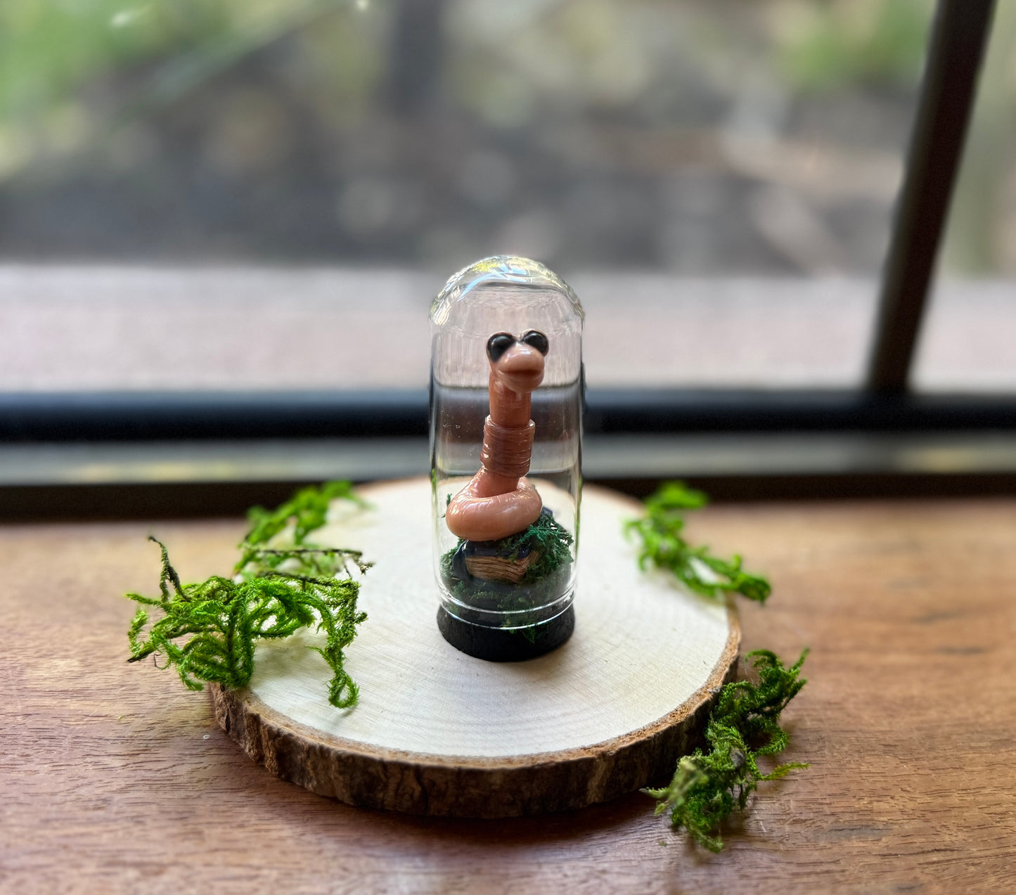 Mini Bookworm Dome