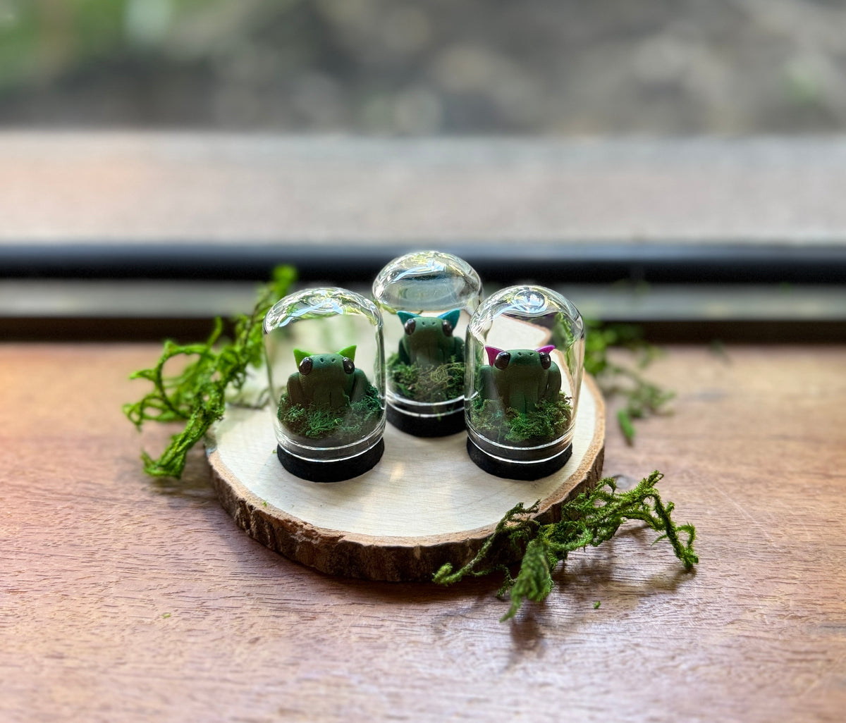 Mini Fairy Frog Dome