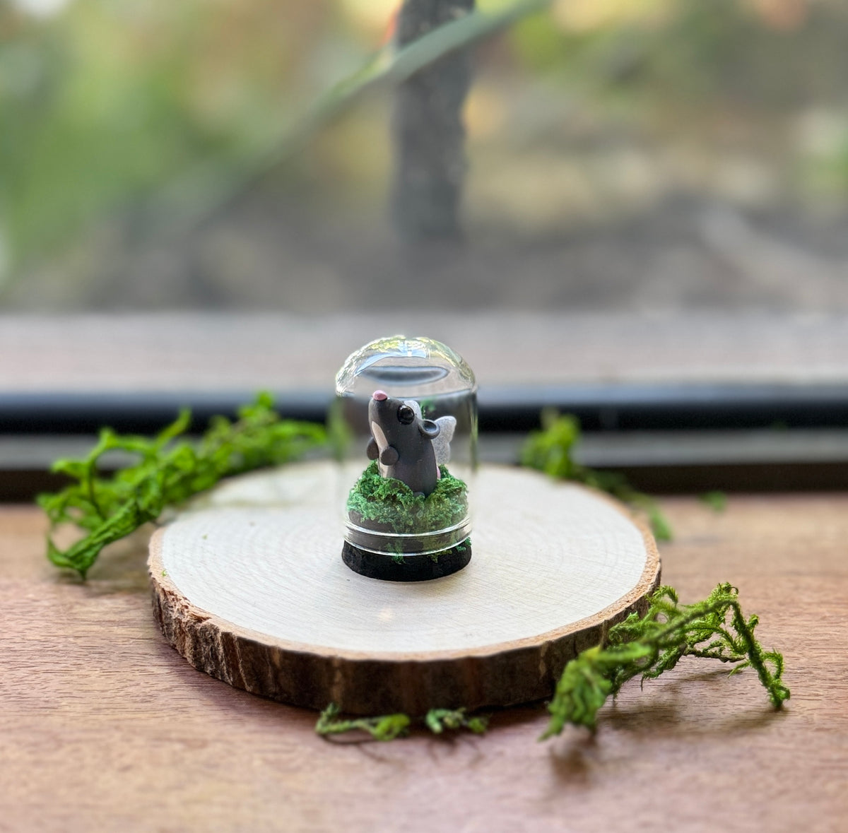Mini Fairy Rat Dome