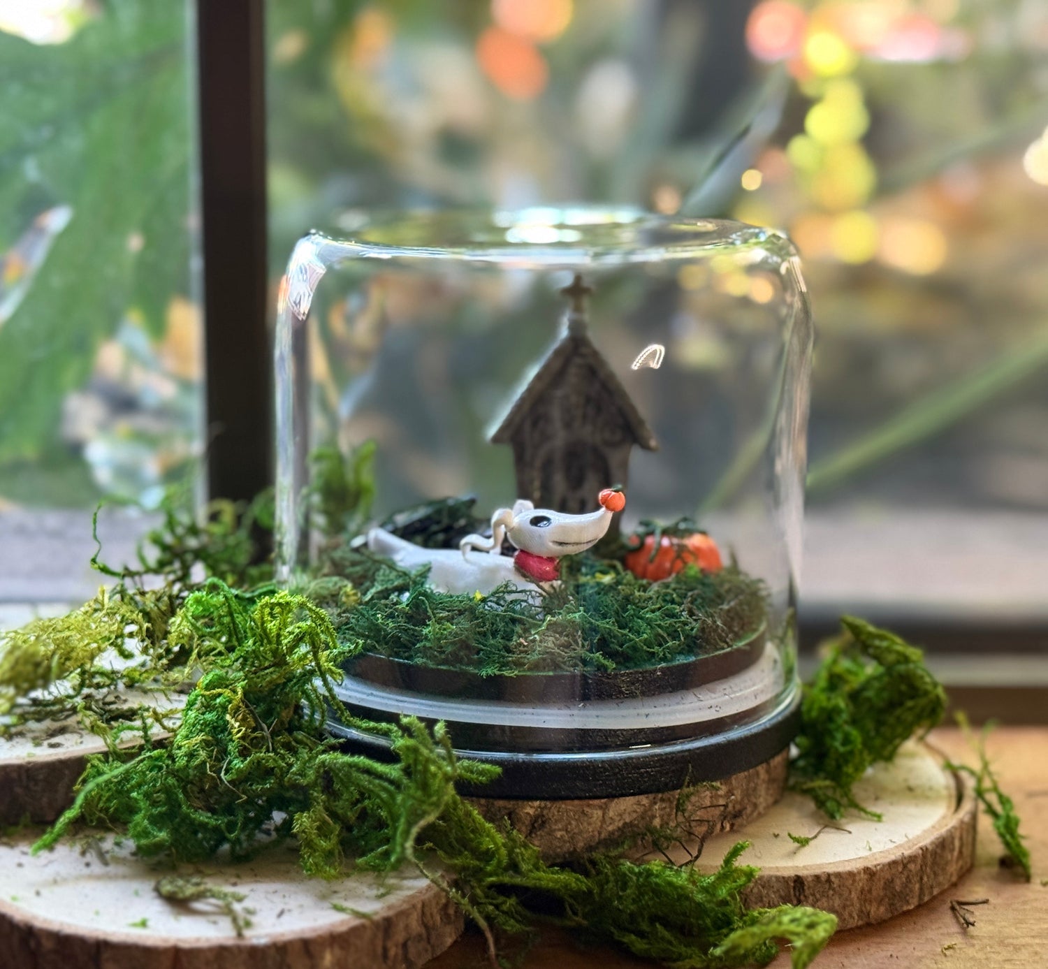 Themed Domes