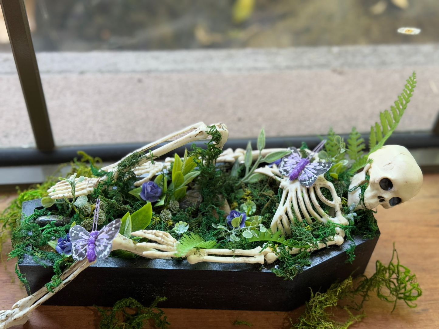 Preorder - Coffin Terrarium