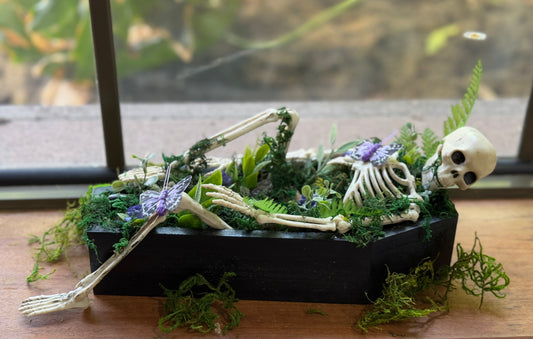 Coffin Terrarium - Pre order