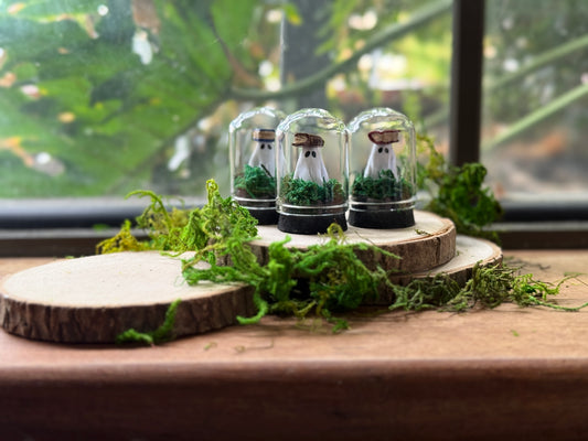 Mini Book Ghost Dome