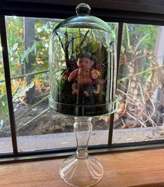 Baby Fairy Cloche Terrarium