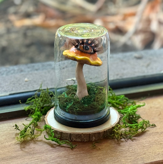 Mushroom Dome - Citrine