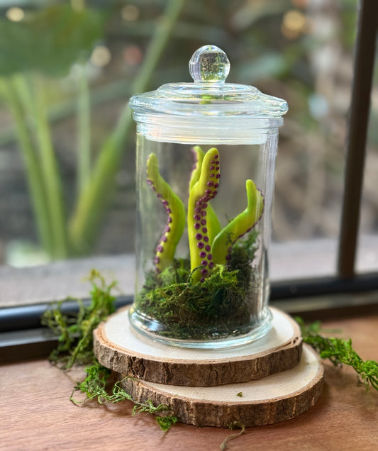 Green Tentacle Jar