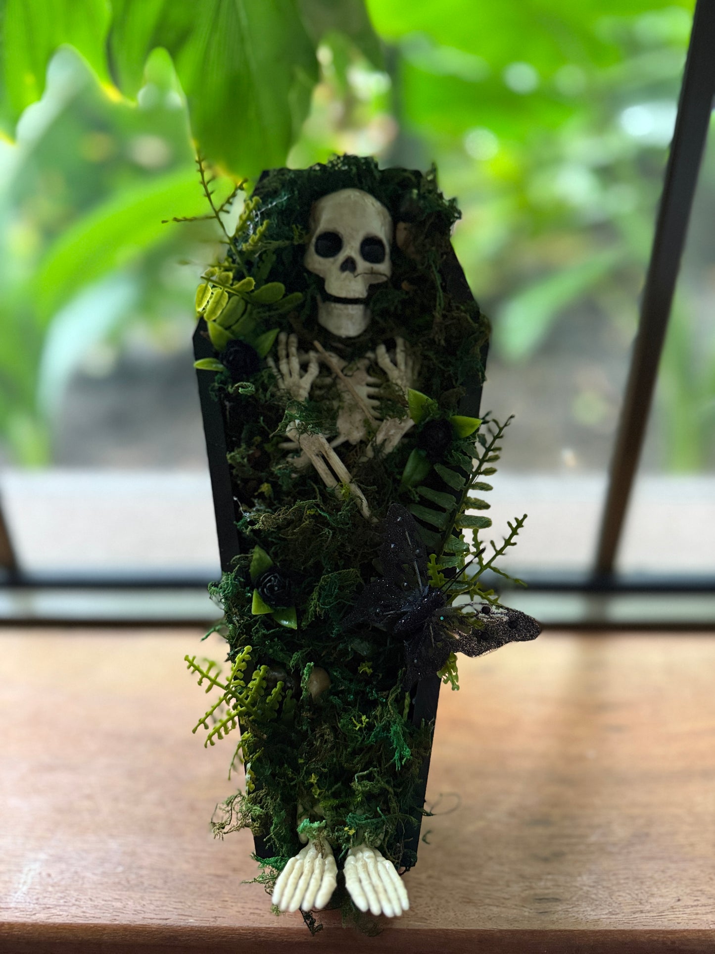 Coffin Terrariums - In Stock
