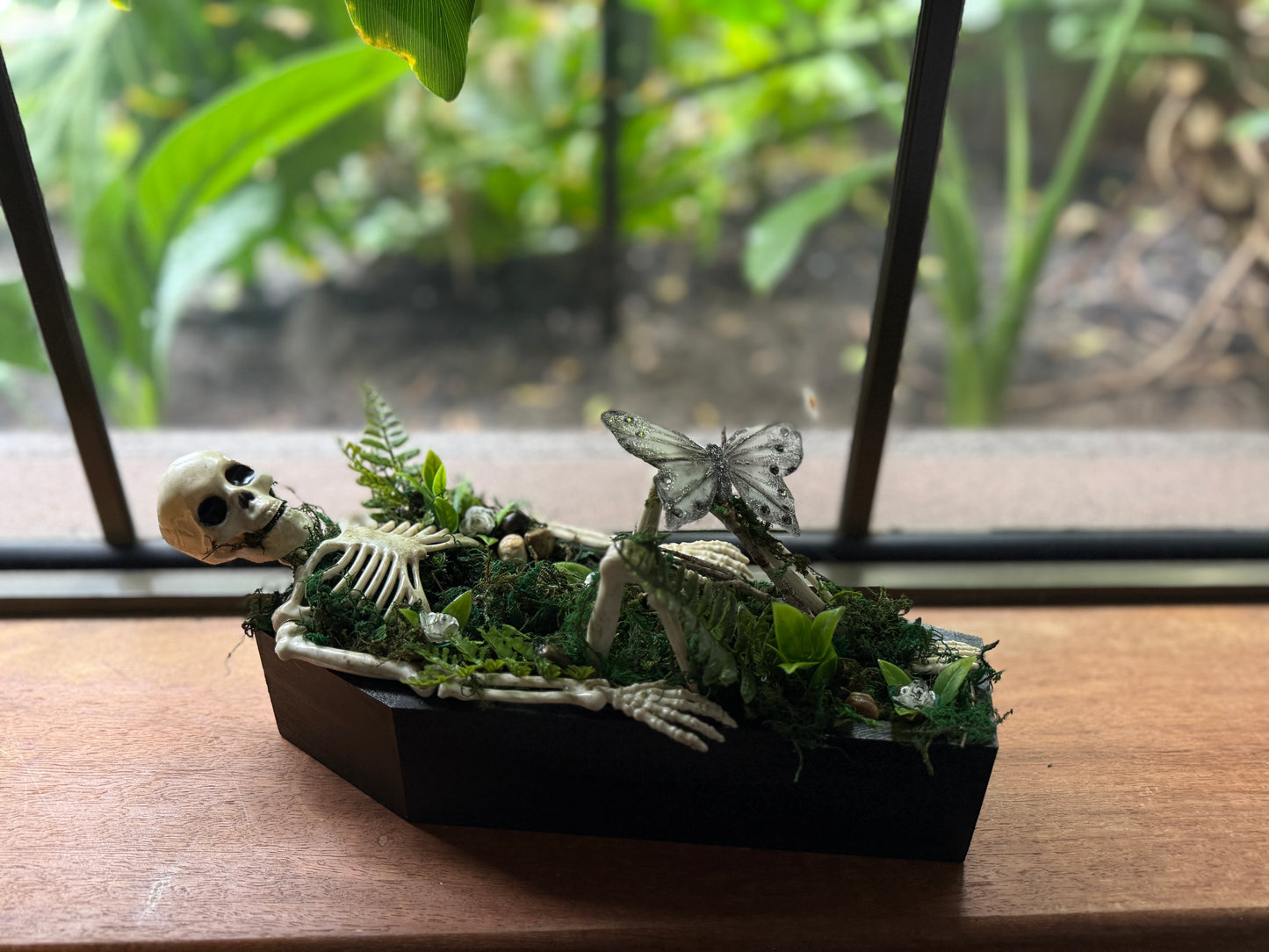Coffin Terrariums - In Stock
