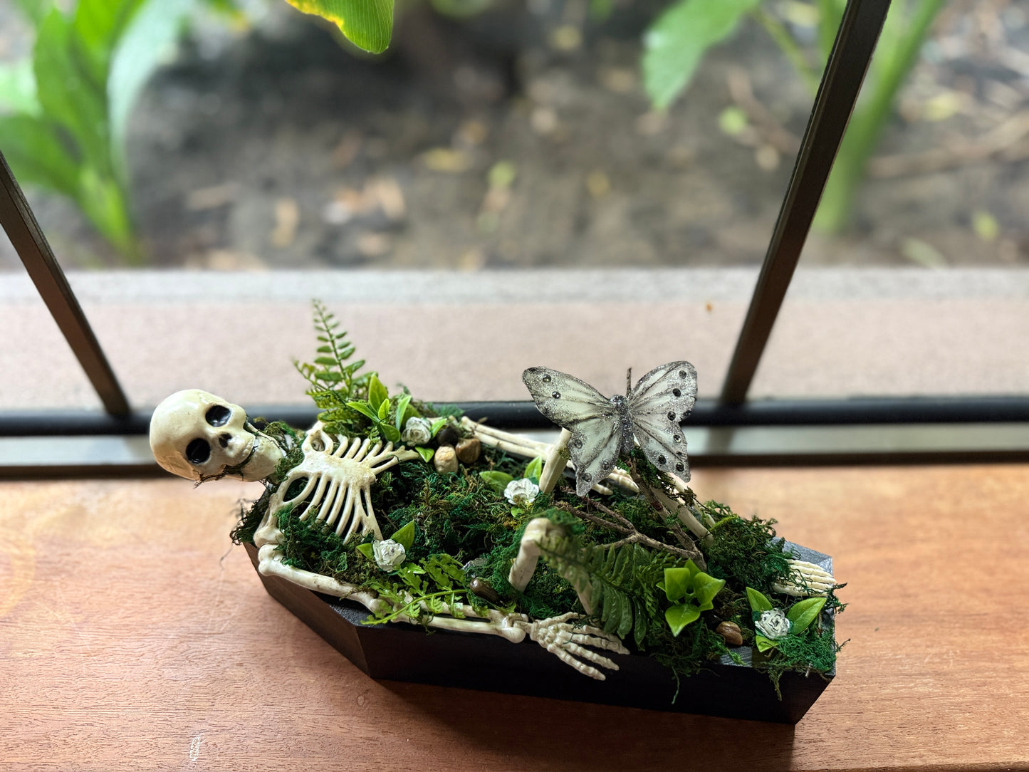 Coffin Terrariums - In Stock