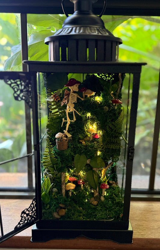 Mushroom Foraging Terrarium