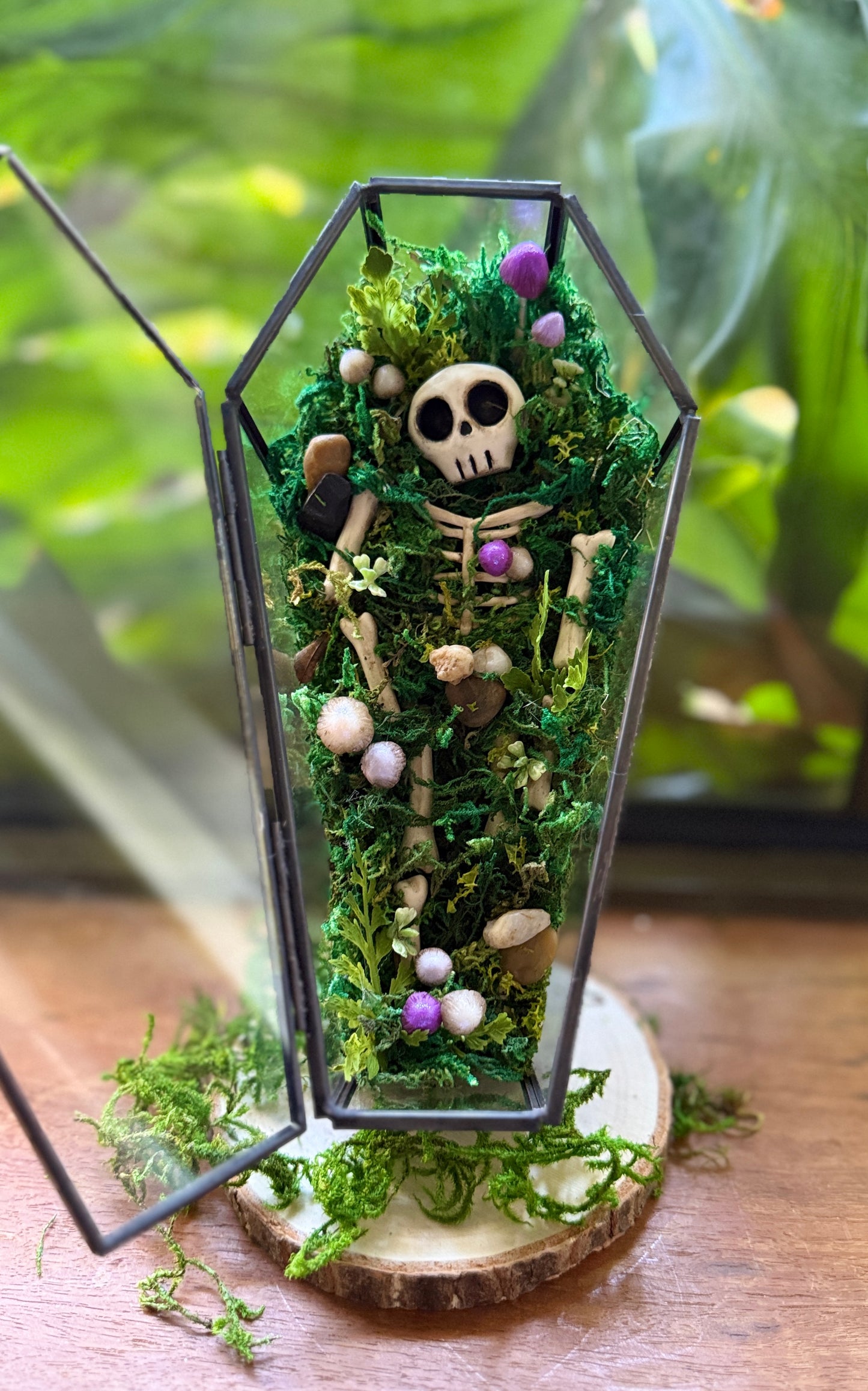 Coffin Terrarium