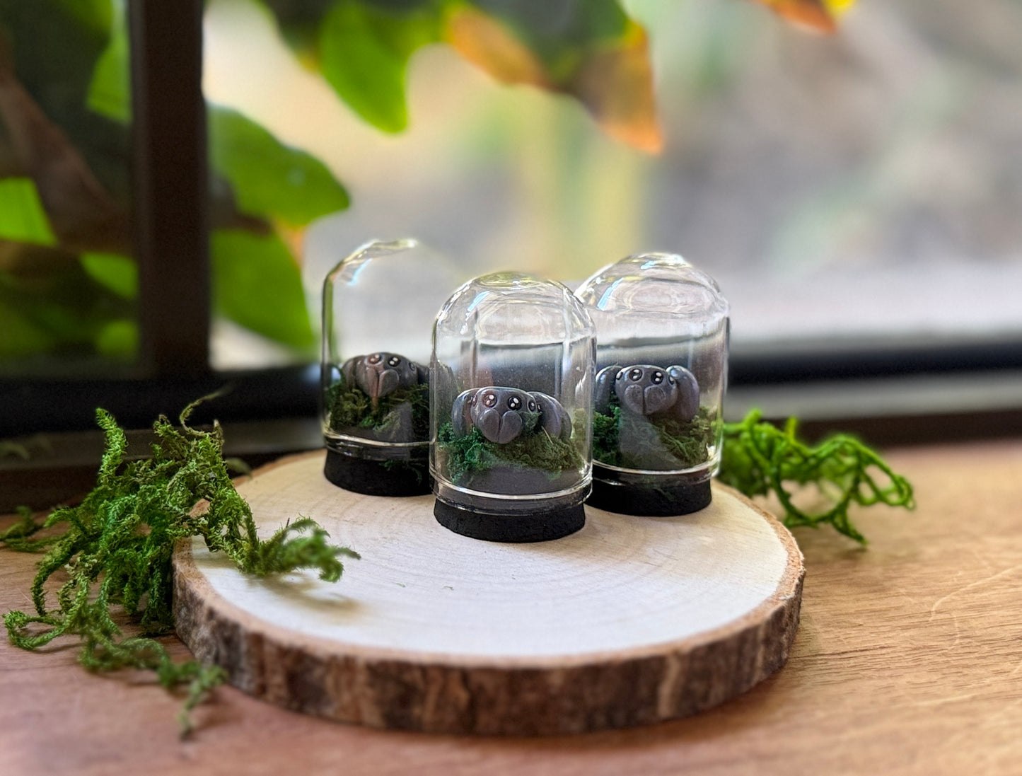 Mini Spider Dome