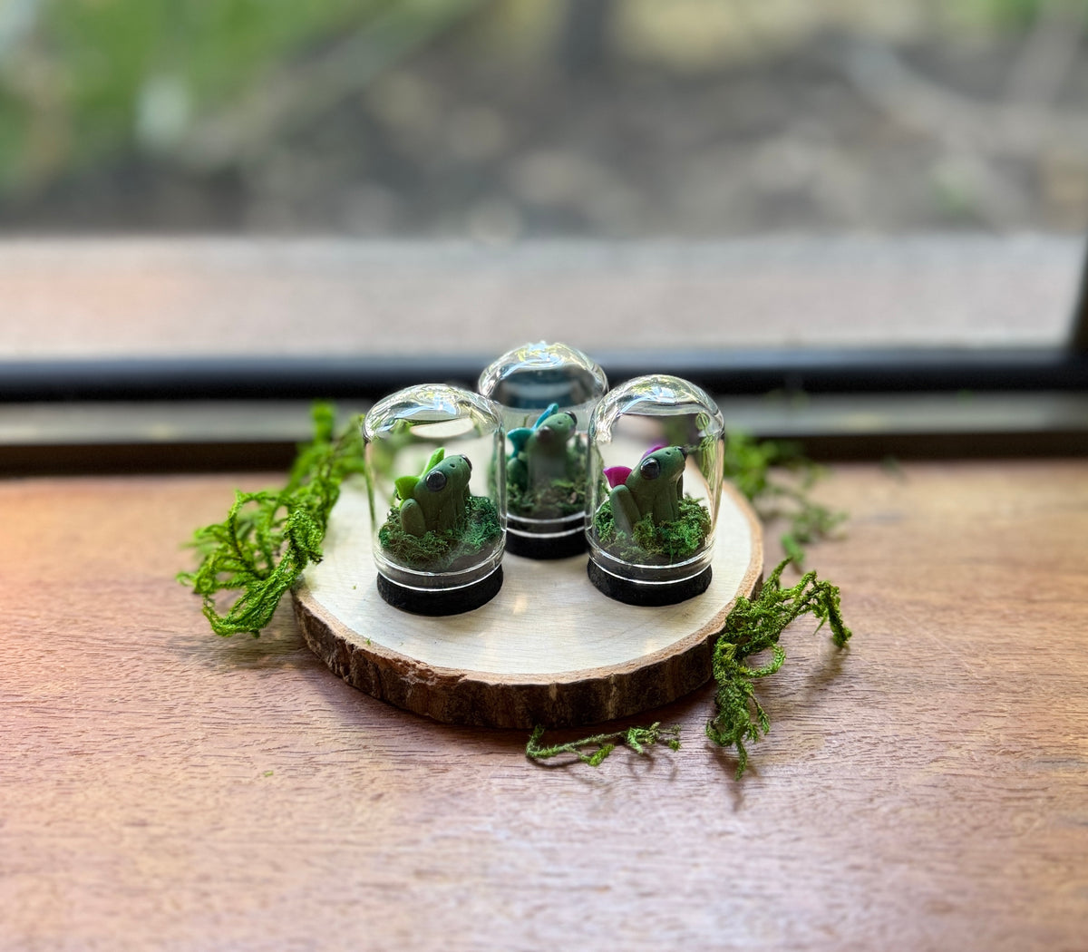 Mini Fairy Frog Dome