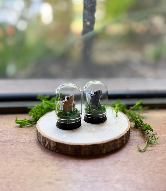 Mini Fairy Rat Dome